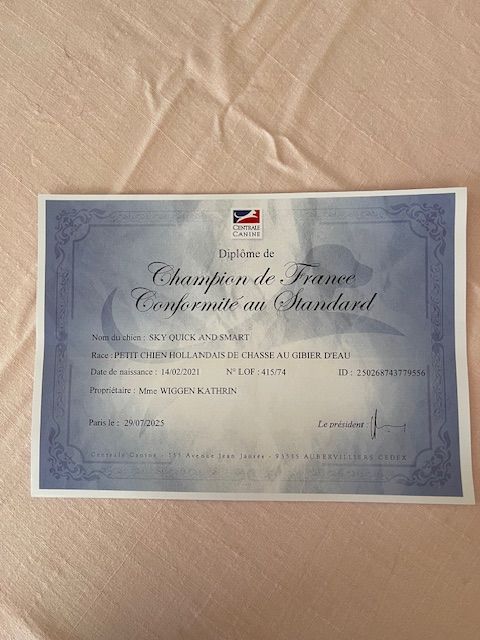 Catidog Cocagne - Champion de France